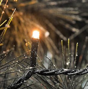 Konstsmide 3612-800 Micro-lichtketting Binnen/buiten Energielabel: G (A - G) werkt op het lichtnet Aantal lampen 120 LED Barnsteen Verlichte lengte: 19.04 m