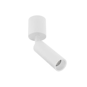 BC0020 LED-opbouwspot Koker 1x10W 2700K Dimbaar Wit