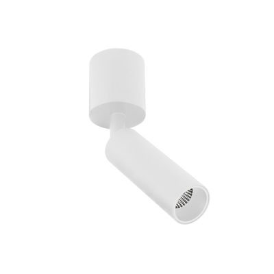 BC0020 LED-opbouwspot Koker 1x10W 2700K Dimbaar Wit