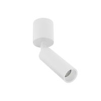 BC0020 LED-opbouwspot Koker 1x10W 2700K Dimbaar Wit