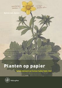 Planten op papier - Sylvia van Zanen - ebook