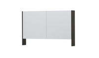 INK SPK3 spiegelkast met 2 dubbel gespiegelde deuren, open planchet, stopcontact en schakelaar 120 x 14 x 74 cm, gerookt eiken