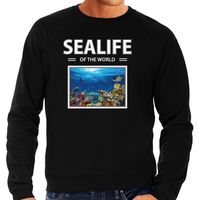 Vis sweater / trui met dieren foto sealife of the world zwart voor heren - thumbnail
