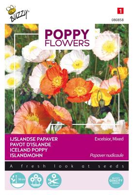 Poppies of the world papaver IJslandse - Buzzy