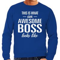 Awesome Boss / baas cadeau sweater blauw heren - thumbnail