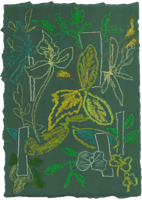 Moooi Carpets - Vloerkleed Sprouts Scarlet Green Soft Yarn - - thumbnail