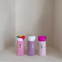Flowerbox longlife Ivy 3-pack Flowerbox longlife Ivy 3-pack