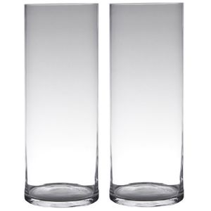 Set van 2x stuks transparante home-basics cylinder vorm vaas/vazen van glas 60 x 19 cm