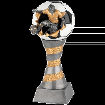 Sportprijzen Leiden Trofee Voetballer met Bal