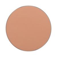 Freedom System Perfect Finish Pressed Powder