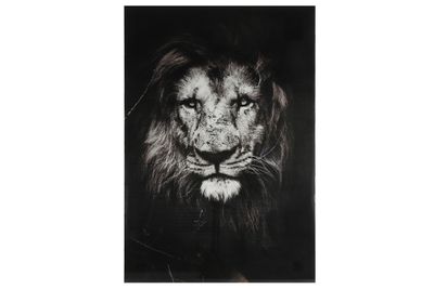 Schilderij leeuw vk Musafa L zwart-L0,4B120H80CM