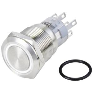 TRU COMPONENTS TC-10090988 LAS1-AGQ-22ZE/W/24V/S Vandalismebestendige druktoets 250 V/AC 3 A 2x aan/aan Continu Wit IP65 1 stuk(s)