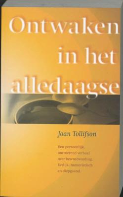 Ontwaken in het alledaagse (Paperback)