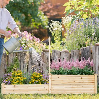 Plantenbak met Houten Latwerk met Open Bodem 2 Trapsvormige Buitenbloembakken voor Klimplanten Bloempot voor Klimplant