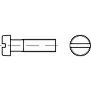 TOOLCRAFT TO-6852414 Cilinderkopschroef M3 55 mm Sleuf DIN 84 Staal Verzinkt 200 stuk(s)