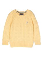 POLO RALPH LAUREN KIDS pull en maille torsadée à logo brodé - Jaune