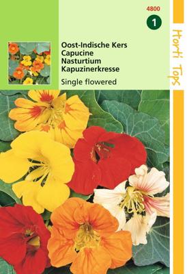 Tropaeolum majus Enkelbloemig mengsel - Hortitops
