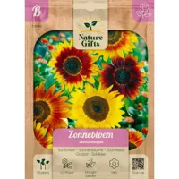 Zonnebloem debilis mengsel 50st