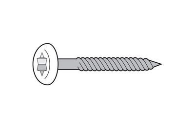 Bevestigingsschroeven rvs 3.5 x 30 mm T15 250 st.