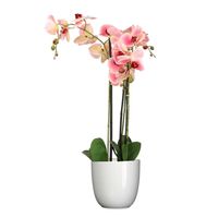 Orchidee kunstplant roze - 75 cm - inclusief bloempot wit glans - Kunstplanten