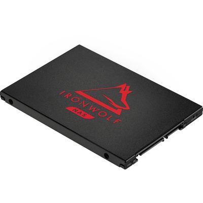 IronWolf 125 2 TB SSD