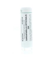 Sarsaparilla officinalis 30K
