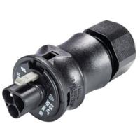 Wieland 96.032.0153.1 Ronde connector Stekker, recht Totaal aantal polen: 3 1 stuk(s)