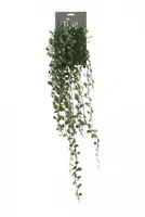 Kunsthangplant Dischidia l85cm groen - thumbnail