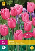X 25 Tulipa Triumph roze - thumbnail