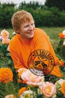 Poster Ed Sheeran Rose Field 61x91,5cm