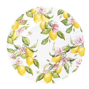 Feestbordjes - 8x - citroen thema - zomer/bbq - rond - karton - 21 cm - gebaksbordjes