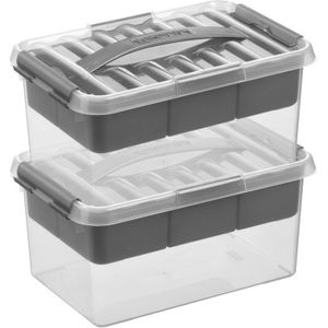 2x Opberg boxen/opbergdozen tray 6 liter 30 x 20 x 14 cm