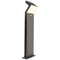 Deko Light 733039 Taygeta 1000 Motion Staande LED-buitenlamp met bewegingsmelder Energielabel: G (A - G) 18 W Donkergrijs