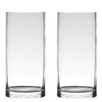 Set van 2x stuks transparante home-basics cylinder vorm vaas/vazen van glas 35 x 15 cm