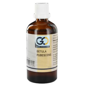 GO Betula pubescens BIO