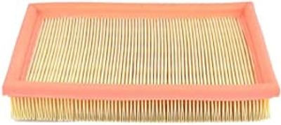 Luchtfilter BSG65135005