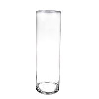 Hoge glazen vaas/vazen transparant 50 x 15 cm   -