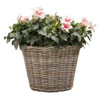 Mega Collections Planten of bloemen mand - D60 x H45 cm - rond - rotan gevlochten - bloempot