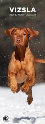 Vizsla Slimline Kalender 2026 Vizsla Slimline Kalender 2026