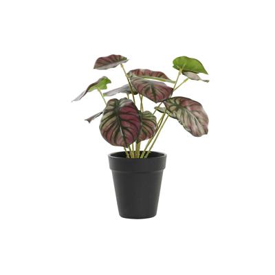Decoratieve plant DKD Home Decor Roze Groen PE (10 x 10 x 27 cm)