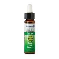 Ladrome Elm/iep 30 bio