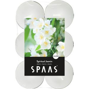 12x Jasmijngeur waxinelichten/theelichten Spiritual Jasmin geur 4,5 branduren