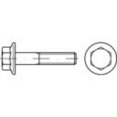 TOOLCRAFT TO-5360943 Zeskantbout M8 50 mm Buitenzeskant RVS A2 200 stuk(s)