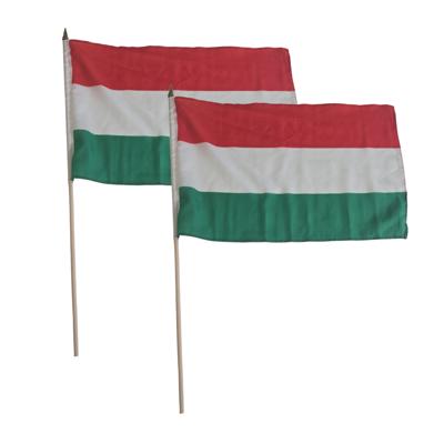 2x stuks luxe zwaaivlag/handvlag Hongarije 30 x 45 cm op stok