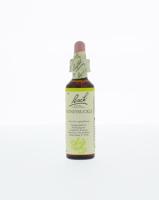 Bach Honeysuckle/kamperfoelie