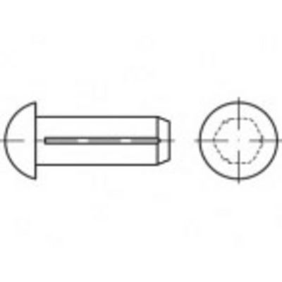 TOOLCRAFT TO-5439138 Halfronde kerfnagel 5 mm Staal 250 stuk(s)