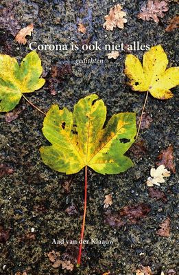 Corona is ook niet alles