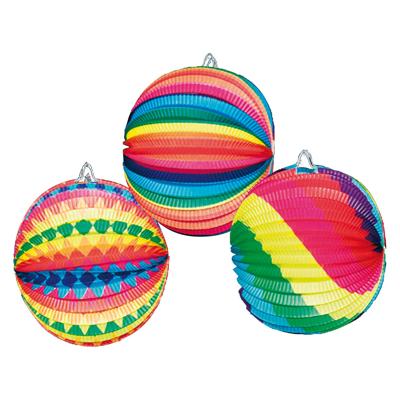 Haza Witbaard Bollampion, 23cm