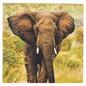 20x Safari thema servetten met olifant print 33 x 33 cm - Feestservetten