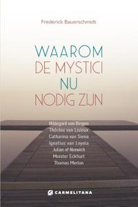 Waarom de mystici nu van belang zijn (Paperback)